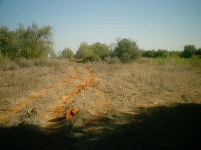 Lots/Land For sale in Albufeira, Algarve, Portugal