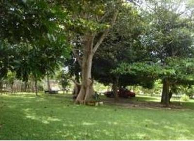 Lots/Land For sale in Panamá, San Carlos, Panama - Gorgona
