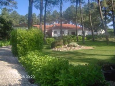 Farm/Ranch For sale in Abrantes, Santarem, Portugal