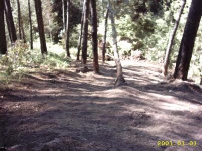 Lots/Land For sale in calheta, madeira, Portugal - calheta
