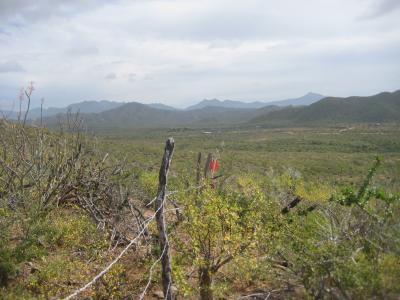 Lots/Land For sale in El Pescadero, Baja California Sur, Mexico - Lot 902