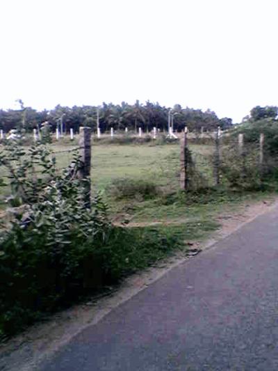 Lots/Land For sale in Coimbatore, Tamil nadu, India - malumachampatty madukarai road