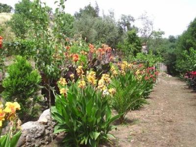 Farm/Ranch For sale in Marvão, Portugal