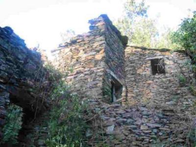 Farm/Ranch For sale in Oliveira do Hospital, Coimbra, Portugal