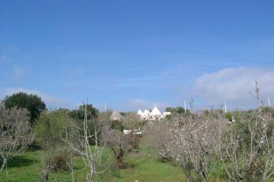 Single Family Home For sale or rent in ceglie messapica, apulia, Italy - cda lamia nuova