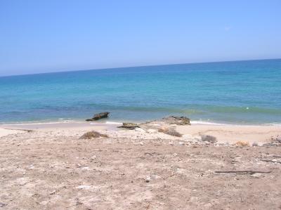 Lots/Land For sale in El Cardonal, Baja California Sur, Mexico - Beach Road to El Cardonal