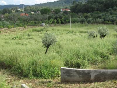 Single Family Home For sale in Ferreira do Zêzere, Santarém, Portugal - Areias