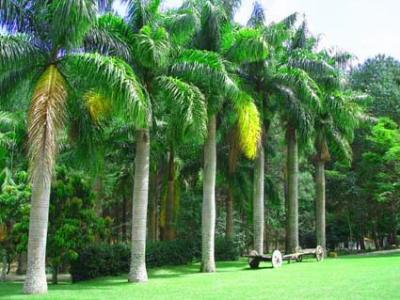 Farm/Ranch For sale in Ubatuba, Sao Paulo, Brazil