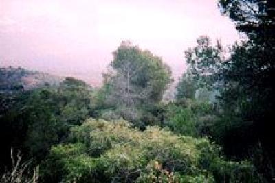 Lots/Land For sale in Miravet, Tarragona, Spain - Raval 59