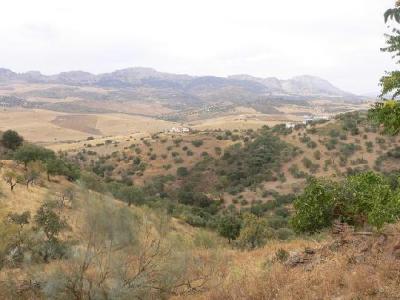 Farm/Ranch For sale in casabermeja, malaga, Spain