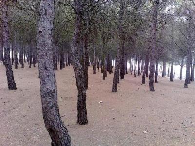 Farm/Ranch For sale in arenas del rey, granada, Spain