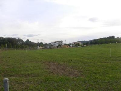 Farm/Ranch For sale in villanueva de tapia, Málaga, Spain