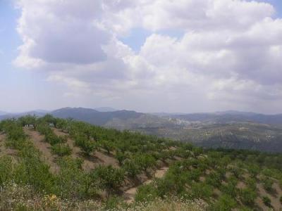 Lots/Land For sale in colmenar, malaga, Spain