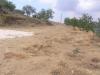 Photo of Farm/Ranch For sale in colmenar, malaga, Spain