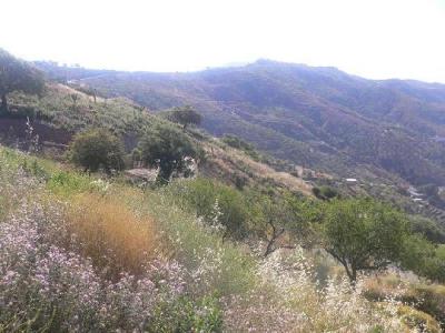 Farm/Ranch For sale in malaga, malaga, Spain