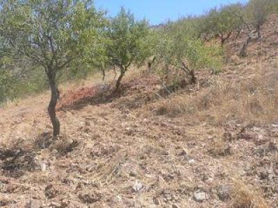 Farm/Ranch For sale in malaga, malaga, Spain