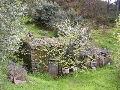 Lots/Land For sale in Jubrique, Malaga, Spain