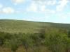 Photo of Lots/Land For sale in Loulé, Algarve, Portugal