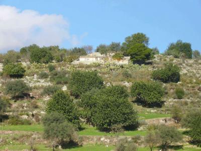 Farm/Ranch For sale in ragusa, sicily, Italy