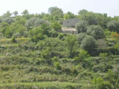 Farm/Ranch For sale in ragusa, sicily, Italy - San Giacomo
